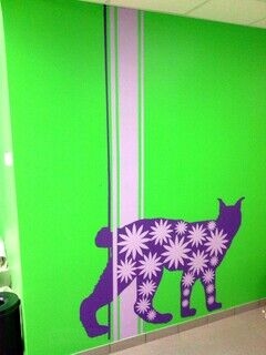 Kass seinale värvitud