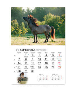 Horse calendar 3. picture